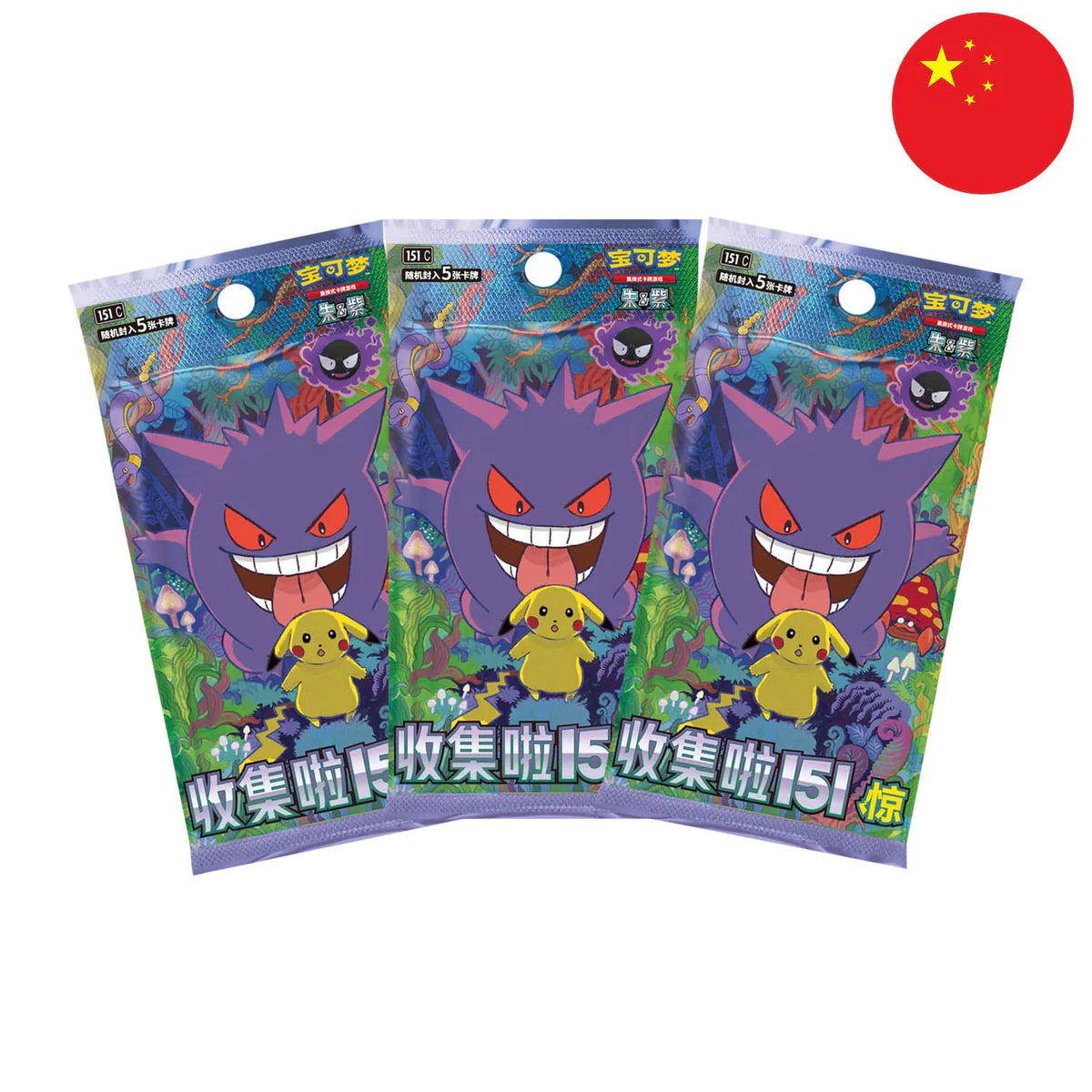 Pokémon Card Game Box - Collect 151 Surprise Coin Set - CHN