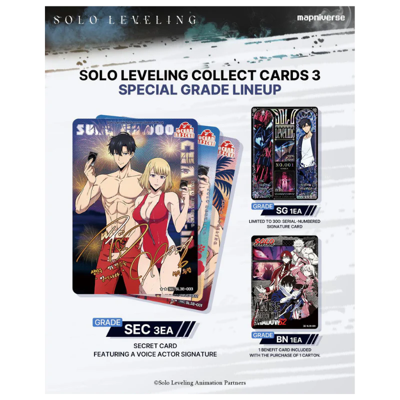 MAPNIVERSE - SOLO LEVELING VOL.3 - DISPLAY [SL3E KR]